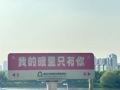 -南京眼步行桥