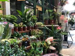 -小洲村