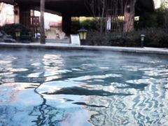 -中家鑫园温泉酒店鑫悦汤泉