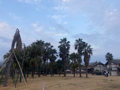 -江心屿景区