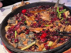 -老板恋上鱼(高新万达店)