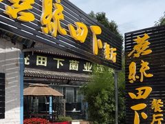 -蘑统田下·野生菌火锅