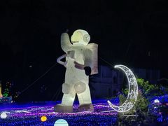 -广西壮族自治区药用植物园