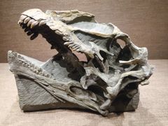 -自贡恐龙博物馆