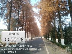 -东湖生态旅游风景区