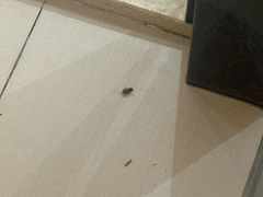 -城市便捷酒店(佛山大良清晖园步行街店)