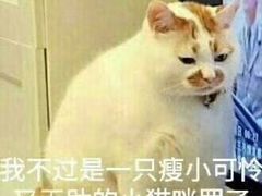 -添好运点心专门店(北角店)