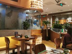 大堂-云海肴·汽锅鸡·云南菜(领展购物广场·中关村店)
