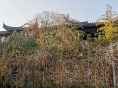 -雨花胜境