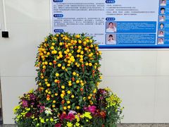 -广州市番禺中心医院(主院区)