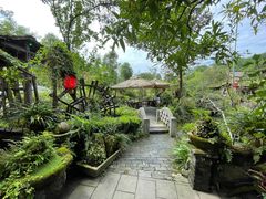 -青城甲(青城山店)