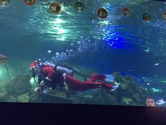 -重庆欢乐海底世界