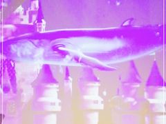 -鼎尚鲜斑鱼莊(新天润店)