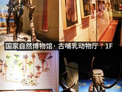 -国家自然博物馆
