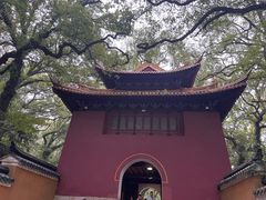 -普陀山风景名胜区-法雨禅寺