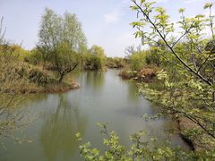 -梁鸿国家湿地公园