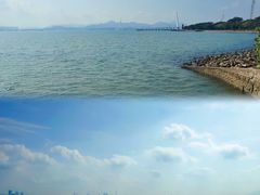 -深圳湾公园(南山区)