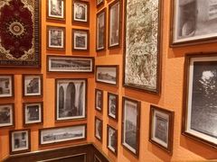 -清真·双公羊·馕坑烤全羊(奥体店)