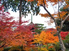 -常寂光寺