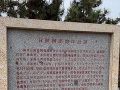 -日照海滨国家森林公园