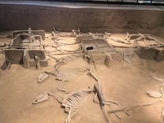 -洛阳周王城天子驾六博物馆