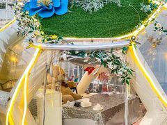 -天空花园餐吧·生日·团建(南山店)