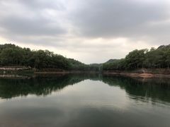 -红花湖景区