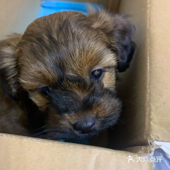 ‌记‌住​‌：‌‎‎保​‌养‎‌再‌​‎贵​‌