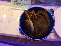 大闸蟹-澜悦港海鲜体验主题餐厅