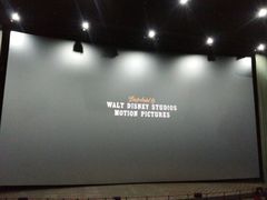 -天幕新彩云国际影城(激光巨幕店)