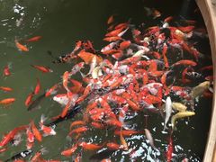 -南宫温泉水世界