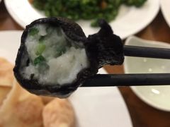 -船歌·鱼水饺青岛菜(金狮广场店)