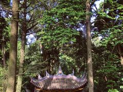 -峨眉山风景名胜区