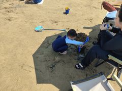 -碧海金沙