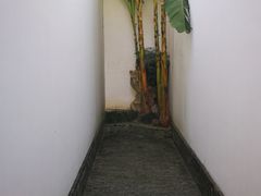 -程十发艺术馆