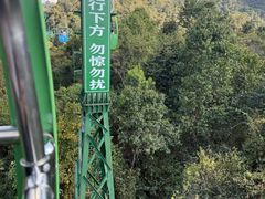 -野象谷景区