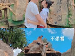 -昆明动物园