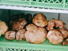 -山菌美食苑(振兴路店)