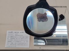 -大阪历史博物馆