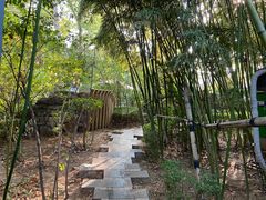 -春晖园度假酒店温泉