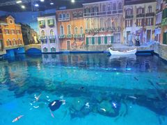 -华夏文旅海洋公园