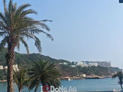 -东澳岛