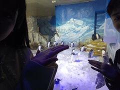 -成都浩海立方海洋公园