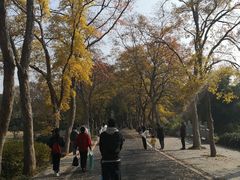 -东湖磨山景区