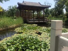 -武清南湖绿博园