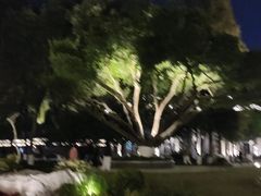 -墨池公园