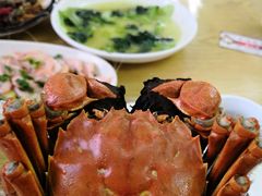 大闸蟹-宾湖农庄·农场特色(太湖龙之梦店)
