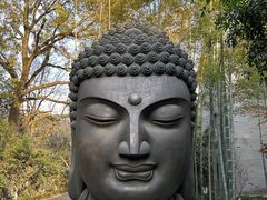 -杭州植物园