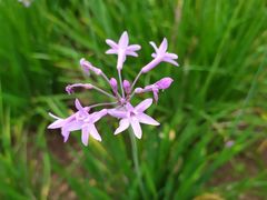 -贵阳市花溪国家城市湿地公园