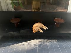 -COTTON CAFE(德信·中外公寓店)